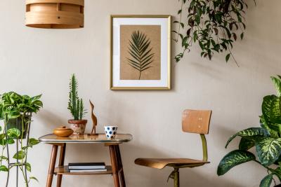 5 Types of Plants That Can Be Used In Your Bedroom 