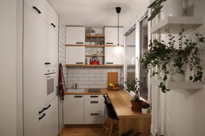 Small Kitchen Designs