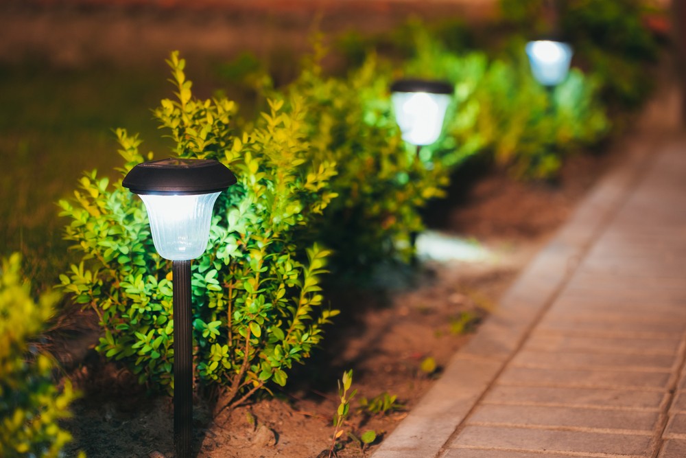 How to Light Up your Garden